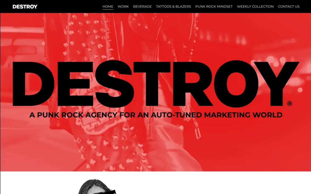 DESTROY Website Screenshot