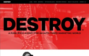DESTROY Website Screenshot