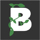 Beanstalk Web Solutions -logo