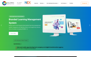 Tecziq Solutions Website Screenshot