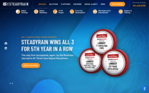 SteadyRain Website Screenshot