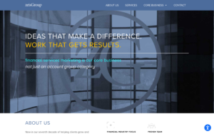 Zeis Group Website Screenshot