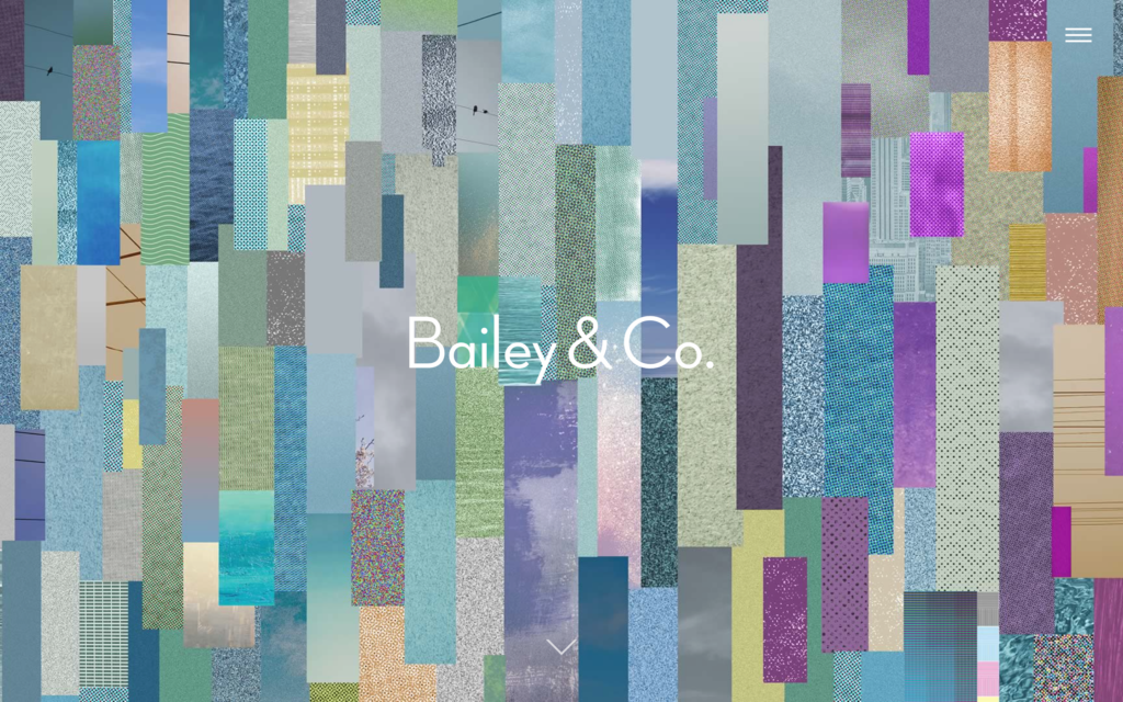 Bailey & Co. Website Screenshot