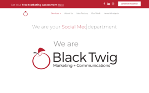 Black Twig Website Screenshot