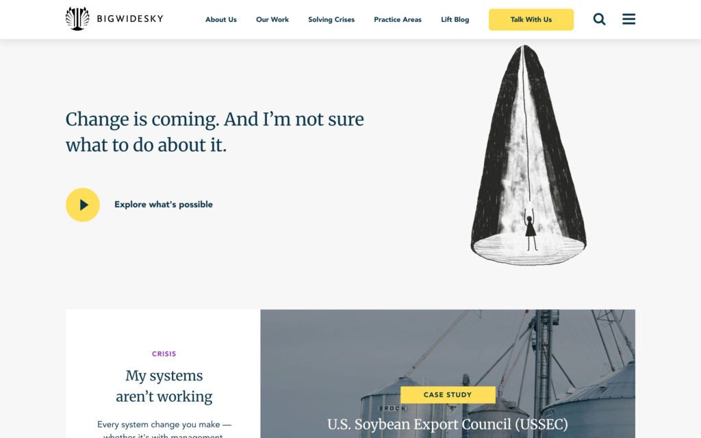 Big Wide Sky Website Screenshot