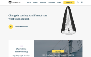 Big Wide Sky Website Screenshot