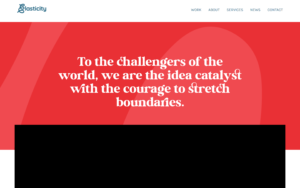 Elasticity Website Screenshot