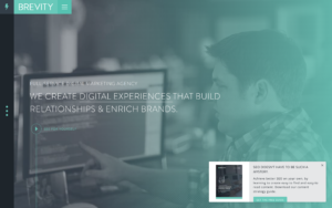 Brevity Website Screenshot