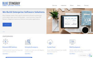 Blue Stingray Website Screenshot