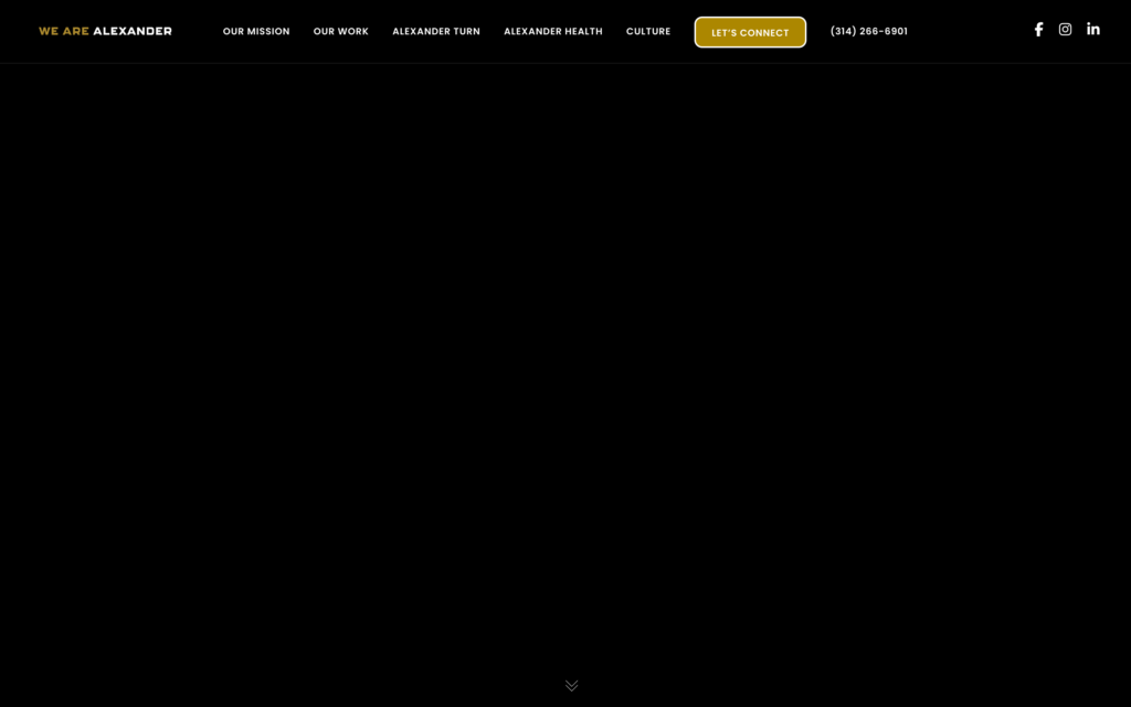 We Are Alexander Website Screenshot