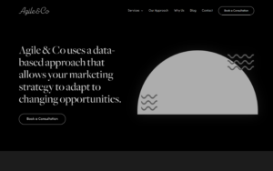 Agile&Co Website Screenshot