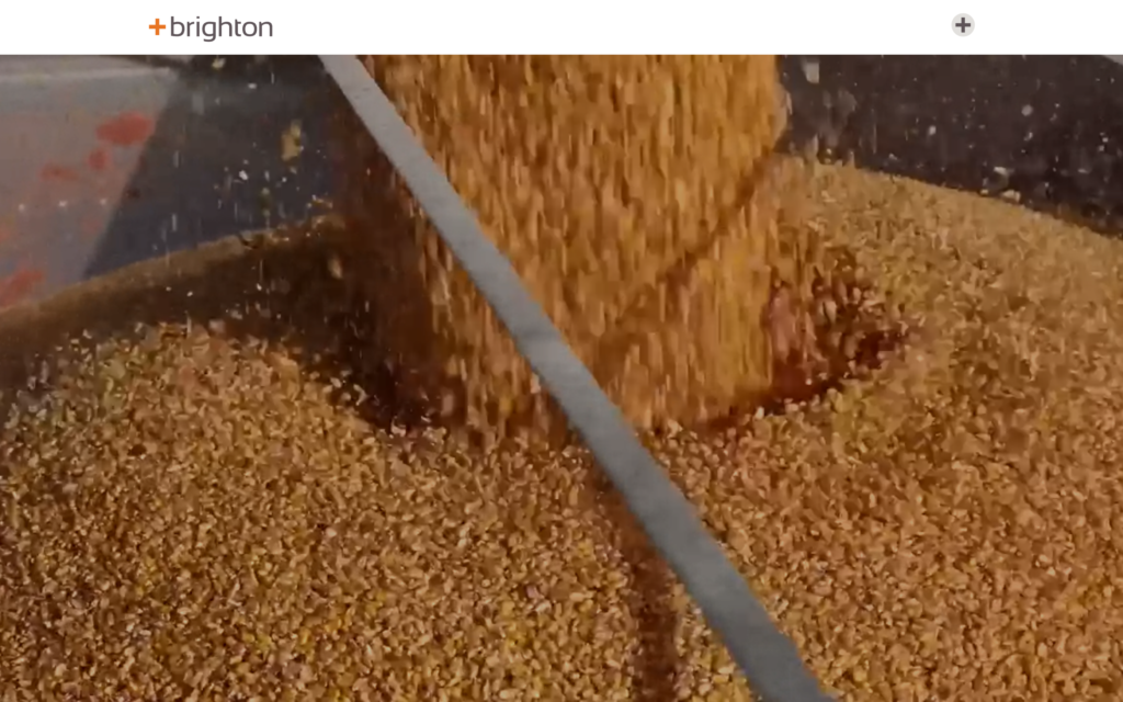 Brighton Website Screenshot