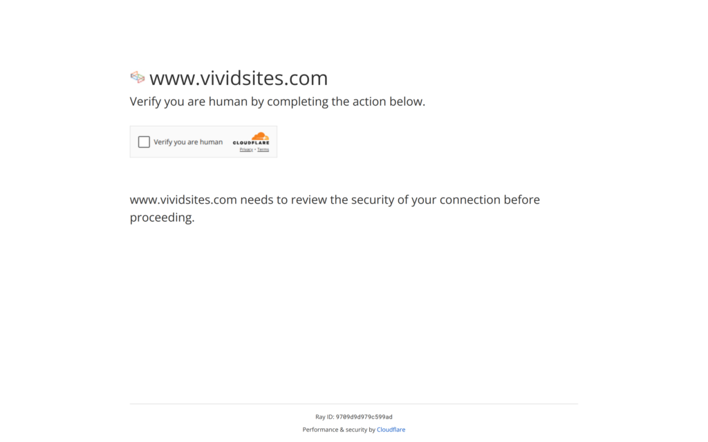 VIVIDSITES Website Screenshot
