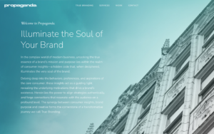 Propaganda Website Screenshot