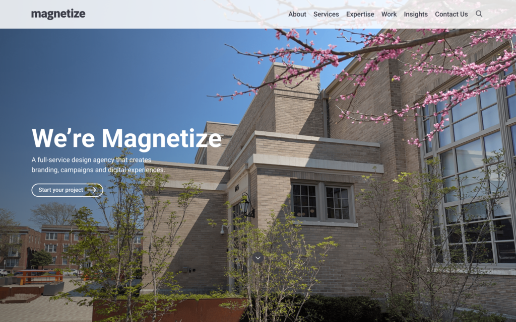 Magnetize Agency Website Screenshot